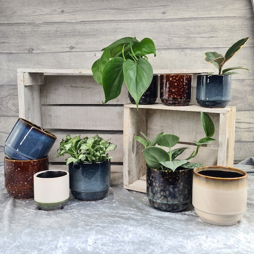 Dawn Gloss Ceramic Houseplant Planter - Indoor Plant Pot - small and medium sizes - mix and match - pen / makeup brush holder