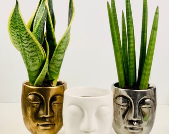Face Silhouette Ceramic Planter - Gold, Silver, Copper, Grey and White