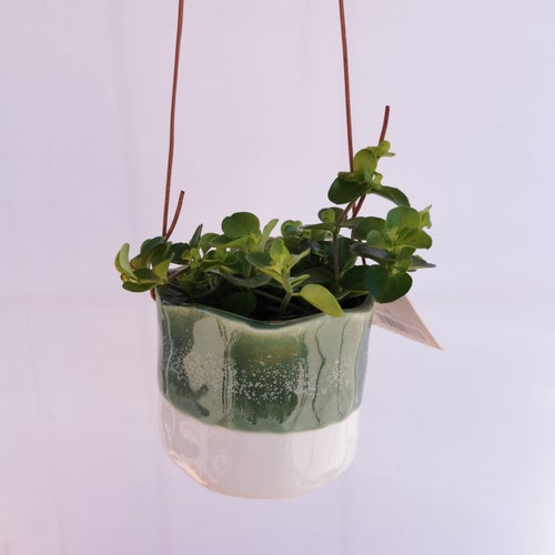 Hanging Glazed Half Dip Green Ceramic Planter - Indoor Hanging Pot