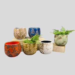May include: Five ceramic plant pots in a variety of colours and patterns, including orange, brown, white, blue and green. The pots are arranged on a wooden surface.