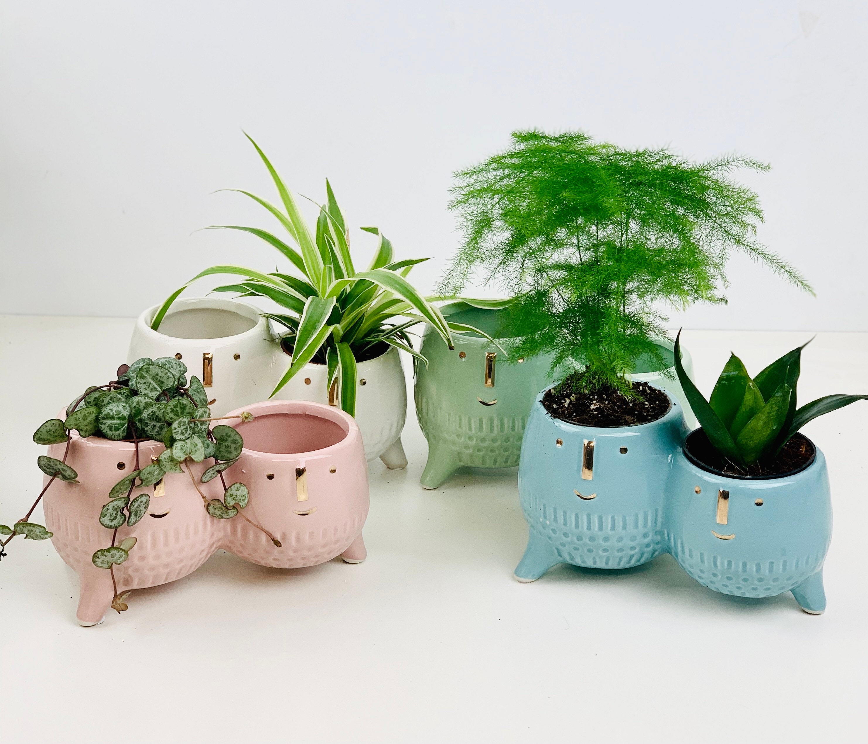 Henri & Henrietta Double Ceramic Planters / Plant Pot - Hettie's Cousins - cute children or adult gift