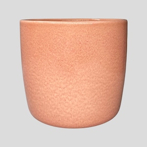 May include: A peach-coloured ceramic planter with a textured surface. The cylindrical pot has a rounded base and a smooth rim. The planter is suitable for indoor or outdoor use and is ideal for succulents or small plants.