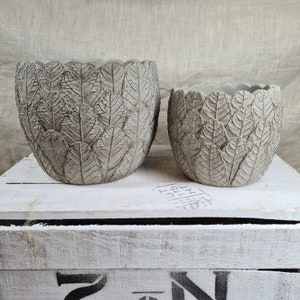 May include: Two grey concrete planters with a leaf design. The planters are sitting on a white wooden surface.