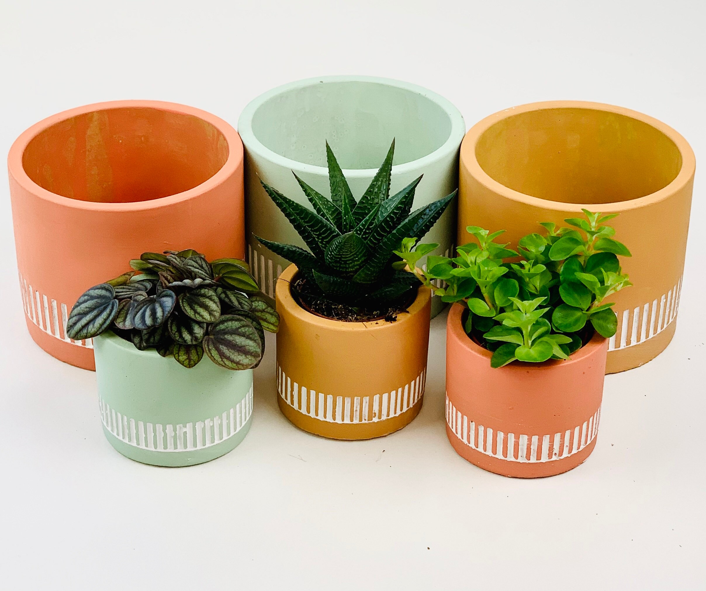 Miami Deco Planters for 6 and 10cm Pots Mustard Burnt Etsy UK