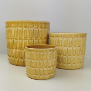 Mustard Yellow Textured Ceramic Planter / House Plant Pot / Various sizes