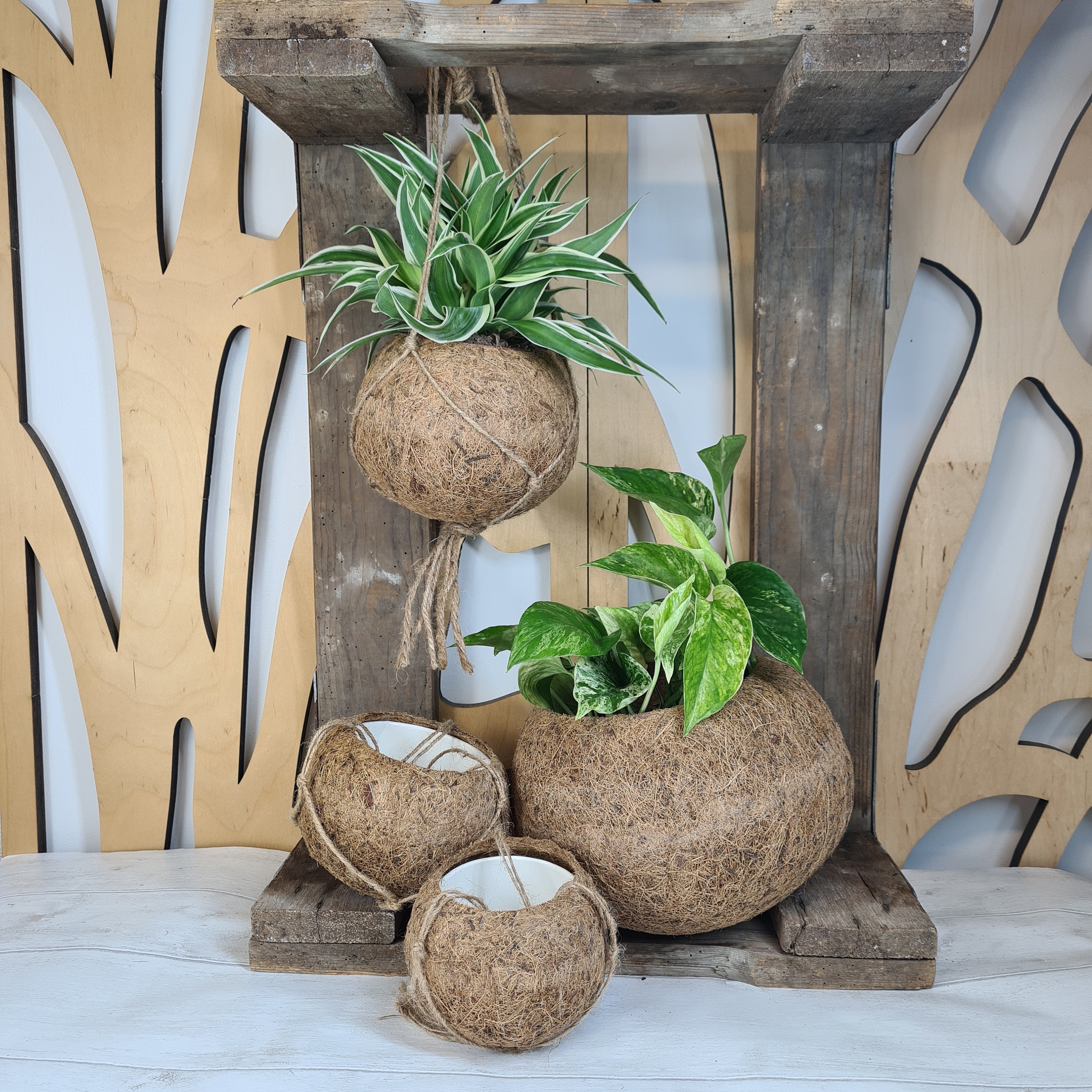Kokedama Coconut Fibre Hanging Planter Indoor Plant Pots 
