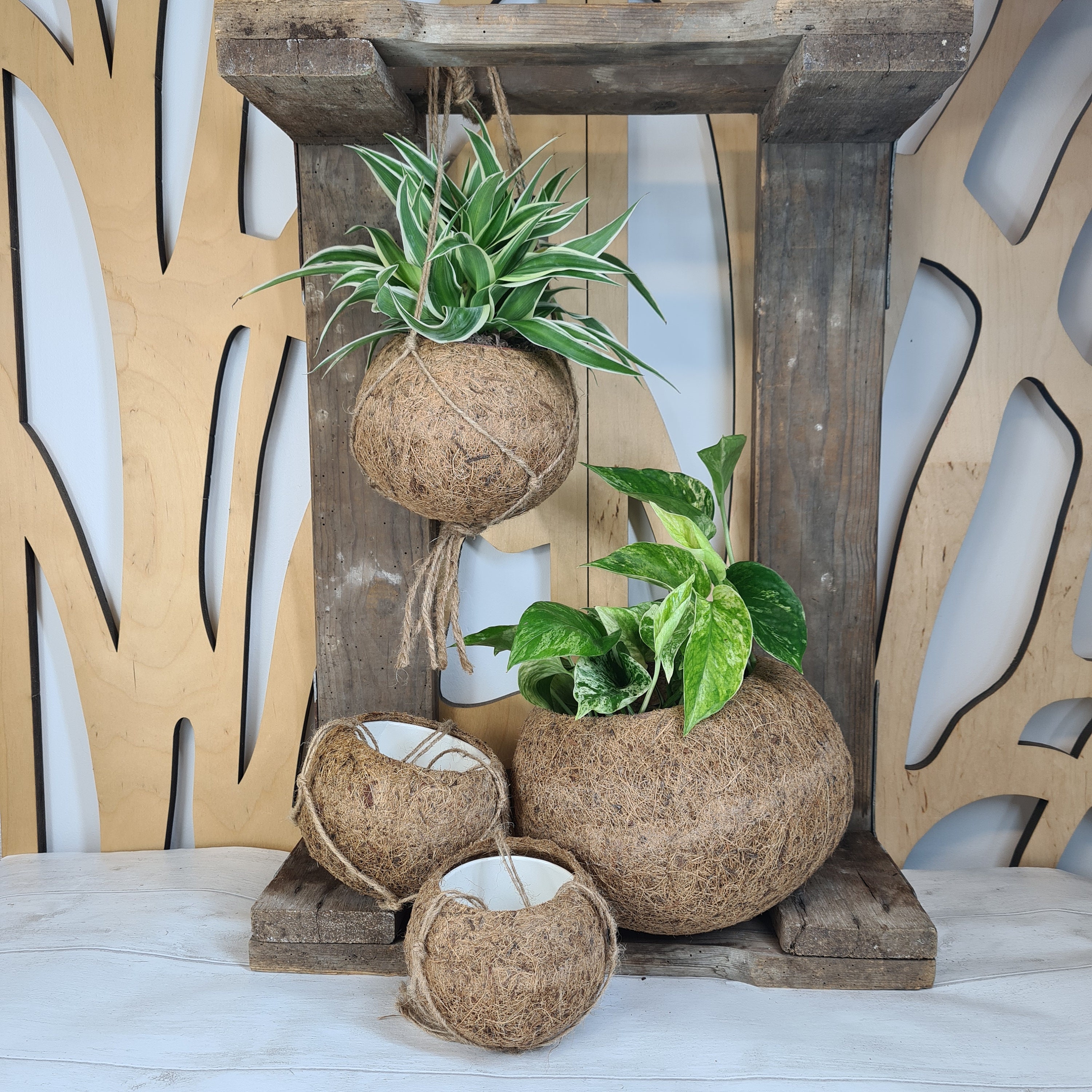Kokedama Coconut Fibre Hanging Planter - Indoor Plant Pots - Etsy
