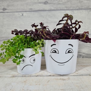 May include: Two white ceramic plant pots with painted faces. One pot has a happy face with a smile and the other has a sad face with a frown. The pots are filled with green and purple plants.