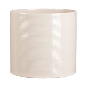 May include: A white ceramic cylinder vase with a subtle ribbed texture.