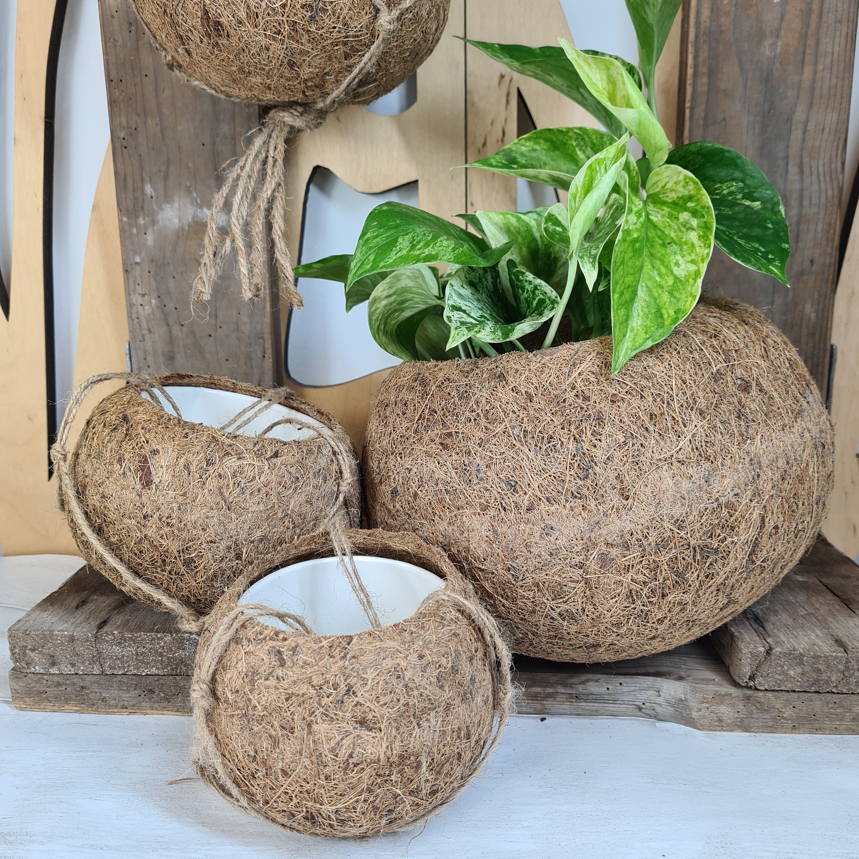 Inserts En Fibre De Coco Pour Panier Suspendu - Lot De 2 - Diamètre 20 Cm - Drainage Naturel Pour Plantes