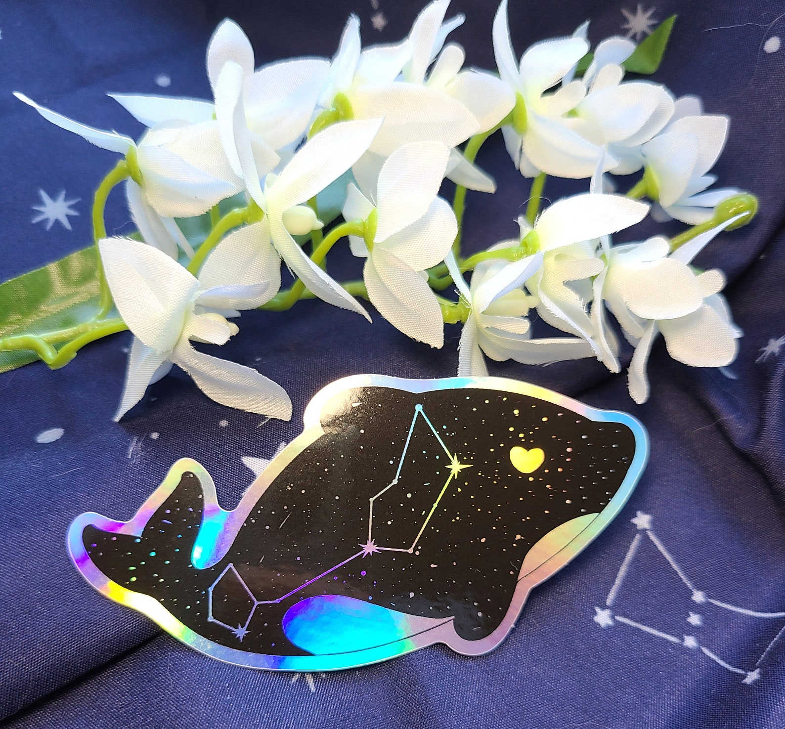 Holo Stickers: Starry Orca | Celestial Whale Shark | Nebulous Manta Ray ...