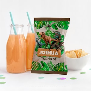 May include: A brown paper bag with a green jungle design featuring dinosaurs. The bag has the text "Joshua Turns 5!" printed on it.