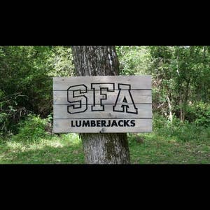 Carved Stephen F Austin Lumberjacks wood sign - SFA -