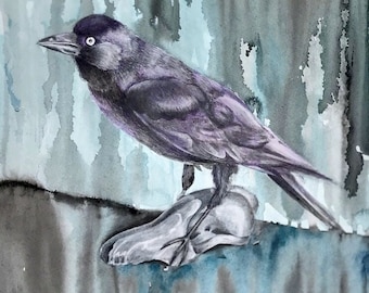 Jackdaw OriginalGemälde gerahmt