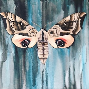 Eyed Hawk-Moth Original Painting