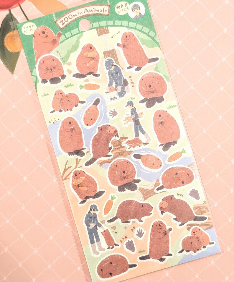 Red Panda Zoo Animals | NB Co | Paper Matte Texture | Pick 1 or Set | From Japan Beaver