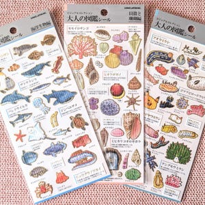 May include: Three sticker sheets featuring detailed illustrations of marine life, including fish, dolphins, and shells. Each sheet has Japanese text and a variety of colorful drawings. The stickers are on a pink background.
