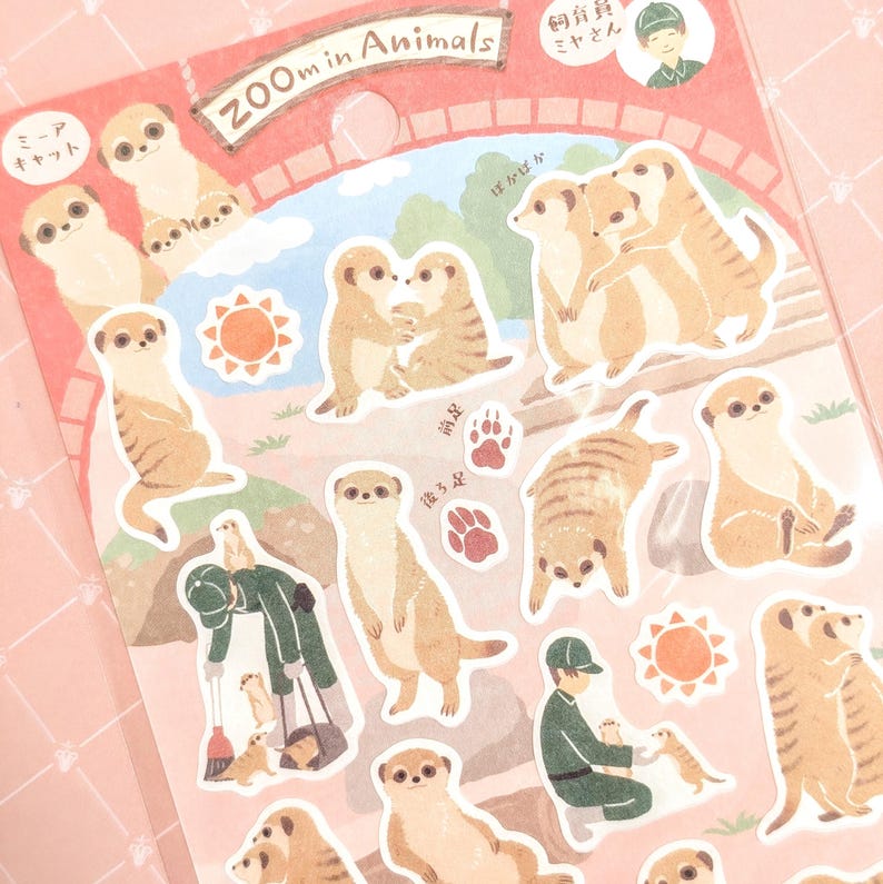 Red Panda Zoo Animals | NB Co | Paper Matte Texture | Pick 1 or Set | From Japan Meercat