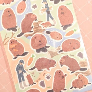 Animales del zoológico de Beaver / NB Co / Textura de papel mate / Elige 1 o un juego / De Japón