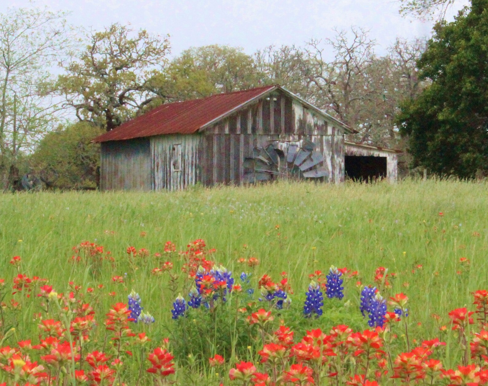 Fine Art Wooden Vintage Colorful Rustic Barn Photograph Print Landscape ...