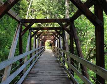 Walking Bridge, wooden bridge, fine art photo, color photograph, green trees, forest photo, many trees, trail, path, forest, picture, hiking