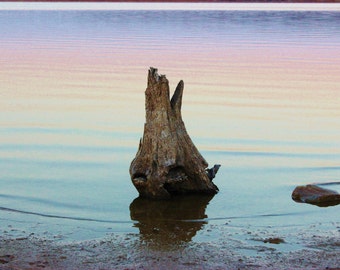 Colorful fine art Photograph of an old Tree Stump sitting in rainbow colored water in the background on a beach in a Texas desert city.