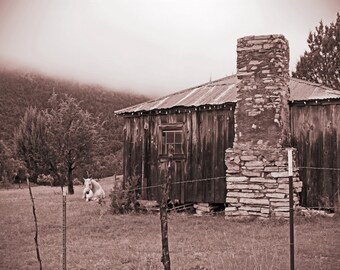 Fine Art Black And White Photograph Of A Sleeping Horse and Abandoned Log Cabin With Fireplace Chimney In The New Mexico Forest Mountains