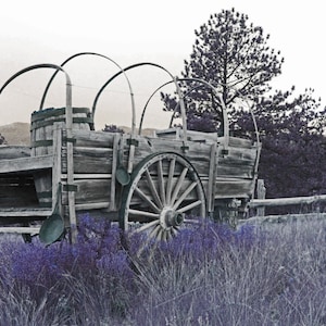 Vintage Wagon Photograph Rustic 1800’s Wagon Art Print Colorful Vintage Wagon wheels Print