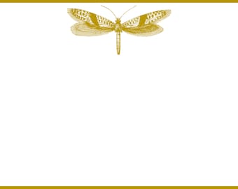 Dragonfly: Flat card with envelope