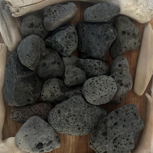 May include: A collection of dark gray, porous volcanic lava rocks arranged alongside several pieces of light tan driftwood. The rocks feature irregular shapes and numerous small holes across their surfaces, contrasting with the smooth, weathered wood.