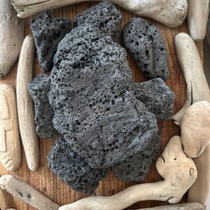 One XL And Seven Large Natural Unpolished Raw Holey Lava Stones PNW Sea Rocks