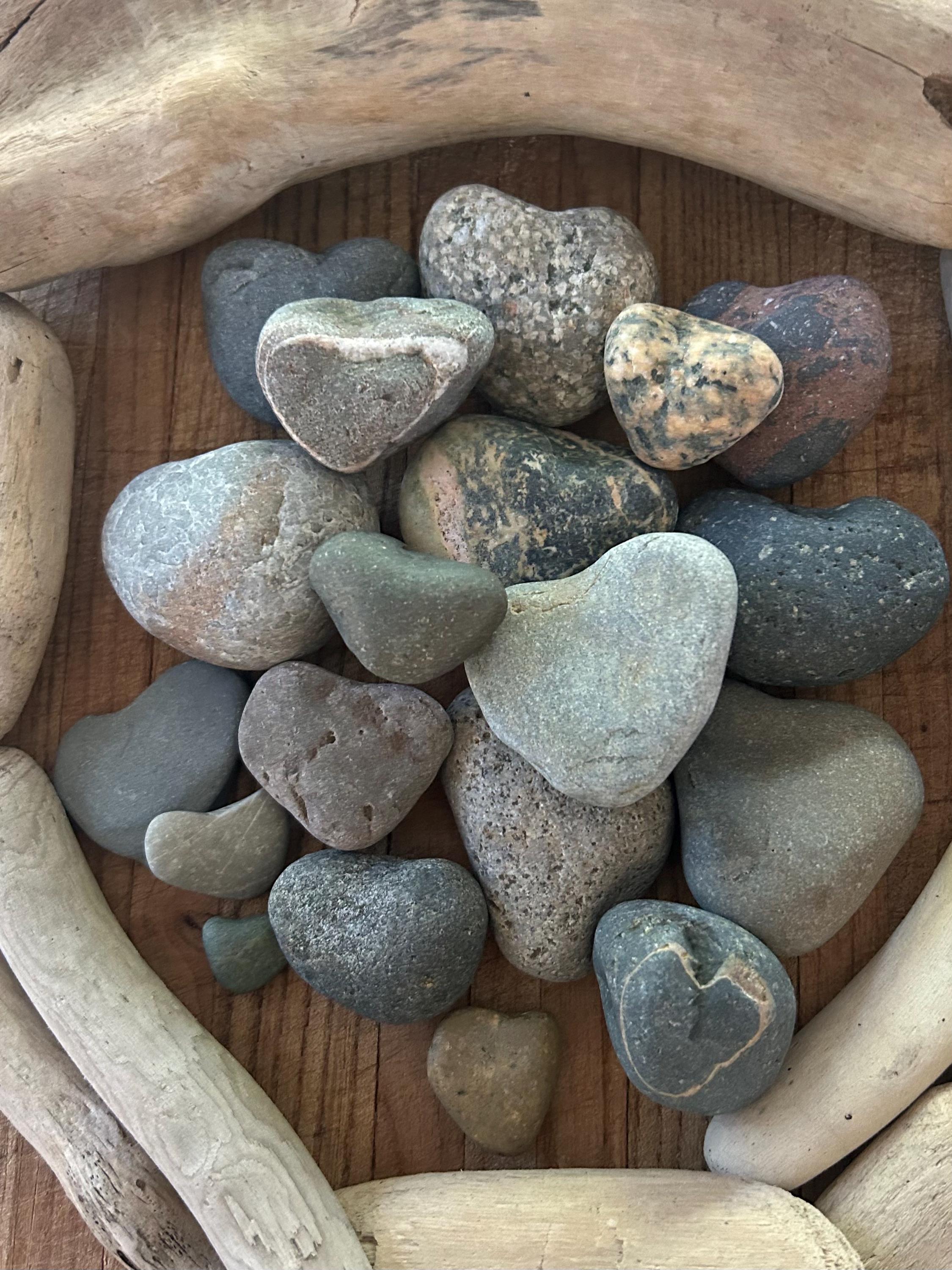 Pnw Rocks Natural Unpolished PNW Heart Shaped Sea Rocks Raw Small Beach Stones ...