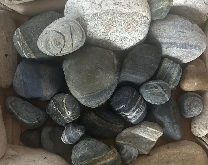 Pnw Rocks Unpolished Striped PNW Beach Rocks Genuine Sea Wish Wishing Stones With ...