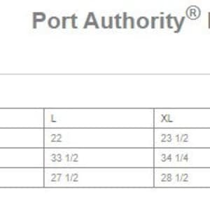 May include: Size chart for a Port Authority Ladies Microfleece Jacket, model number L223. The chart shows measurements in inches for bust, sleeve length, and body length at the back for sizes XS through 4XL.