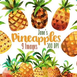 以下が含まれることがあります： 緑の葉の房が付いたパイナップルの水彩イラスト。パイナップルは黄色、オレンジ、茶色の色合いです。画像には「Jane's Pineapples、9 Images、300 DPI」というテキストが含まれています。