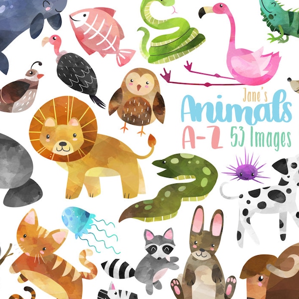 Aquarell Tiere A-Z Clipart - Tier Alphabet Clipart - Instant Download - Löwe - Alligator - Tiger - Koala - Aal - Wal - Leguan