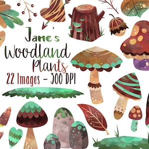 Watercolor Woodland Plants Clipart - Woodland Mushroom Items Download - Instant Download - Mushrooms - Leaves - Foliage