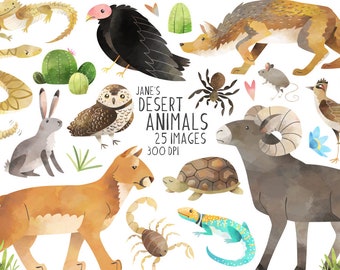 Watercolor Desert Animals Clipart: 25 PNG Images (Digital Download, Hand Drawn)