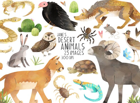 Watercolor Desert Animals Clipart American Desert Download - Etsy Watercolor Desert Animals Clipart American Desert Download - Etsy