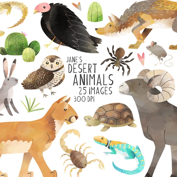 Watercolor Desert Animals Clipart - American Desert Download - Instant Download - Mountain Lion - Bighorn Sheep - Bearded Dragon