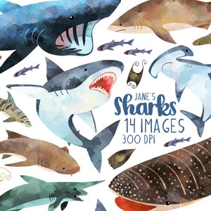 Imágenes prediseñadas de tiburones en acuarela: descarga de especies de tiburones: descarga instantánea: tiburón blanco, tiburón peregrino, tiburón martillo