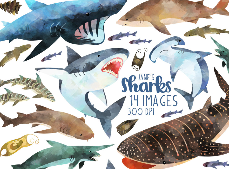 Shark Water Color 12 pcs set