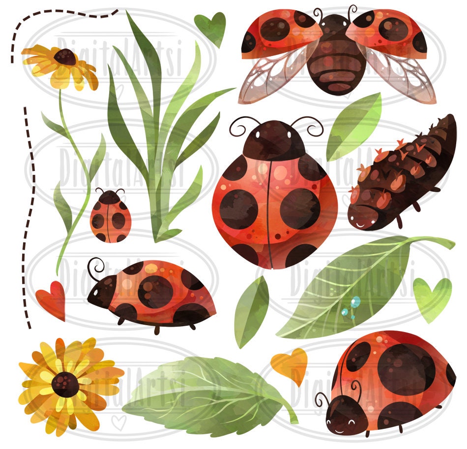 Buy Watercolor Ladybugs Clipart: Flowers and Leaves (digital Download)  Online in India - Etsy, image size:950x914