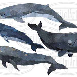 May include: Watercolor illustration of four whales in shades of blue and gray. The whales are in different poses, some swimming and some leaping out of the water. The illustration is on a white background.