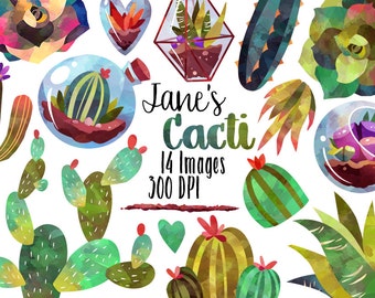 Clipart aquarelle de succulentes : cactus et plantes PNG (téléchargement numérique)