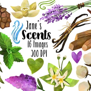 Clipart de aromas naturales en acuarela - Descarga instantánea de artículos perfumados: lila, lavanda, sándalo, vainilla y menta.