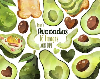 Clipart aquarel avocado: 16 png-afbeeldingen (digitale download)