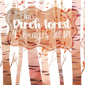 Aquarel berkenbomen clipart - bos downloaden - directe download - berkenbos - commercieel gebruik - handgetekend - door mensen gemaakt