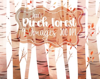 Watercolor Birch Trees Clipart - Forest Download - Instant Download - Birch Forest - Commercial Use