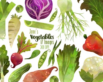 Watercolor Vegetables Clipart - Healthy Food Download - Instant Download - Kale - Fennel - Beet - Silverbeet - Lettuce - and more!